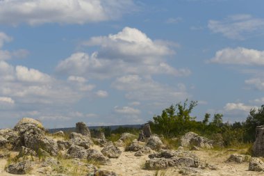 Taş çöl olarak da bilinen, dikilmiş taşlar. Varna eyaletinin ev formları. Bulgaristan 'ın kaya oluşumları. Taş orman.