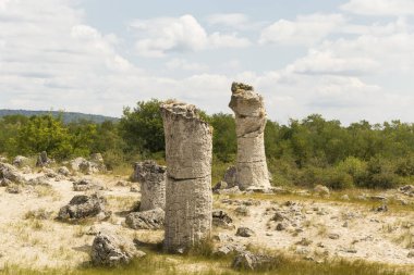 Taş çöl olarak da bilinen, dikilmiş taşlar. Varna eyaletinin ev formları. Bulgaristan 'ın kaya oluşumları. Taş orman.