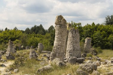 Taş çöl olarak da bilinen, dikilmiş taşlar. Varna eyaletinin ev formları. Bulgaristan 'ın kaya oluşumları. Taş orman.