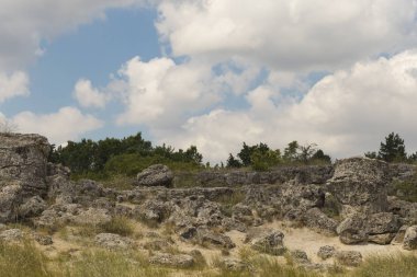 Taş çöl olarak da bilinen, dikilmiş taşlar. Varna eyaletinin ev formları. Bulgaristan 'ın kaya oluşumları. Taş orman.