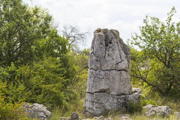 Pierres Plantées Également Connu Sous Nom Désert Pierre Landforms Varna — Photo