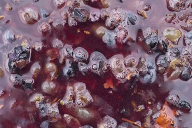 Şarap malzemesi, üzüm suyu - mutlaka, stum, maun. Moldova 'da şarap üretim teknolojisi. Şarap yapma geleneği. Eski üzüm işleme geleneği..