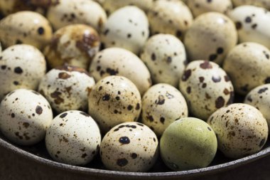 Bıldırcın yumurtası dünyanın birçok yerinde bir incelik olarak kabul edilir.