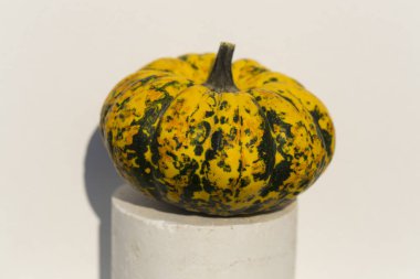 Dekoratif Balkabağı Karışık Tohumlar GON GDO 'suz beyaz arka planda. Cadılar Bayramı.