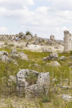 Taş çöl olarak da bilinen, dikilmiş taşlar. Varna eyaletinin ev formları. Bulgaristan 'ın kaya oluşumları. Taş orman.