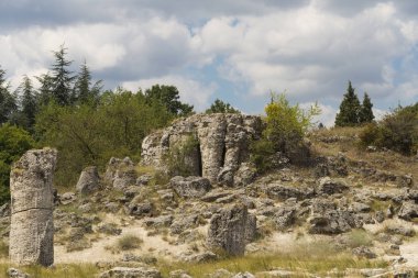 Taş çöl olarak da bilinen, dikilmiş taşlar. Varna eyaletinin ev formları. Bulgaristan 'ın kaya oluşumları. Taş orman.