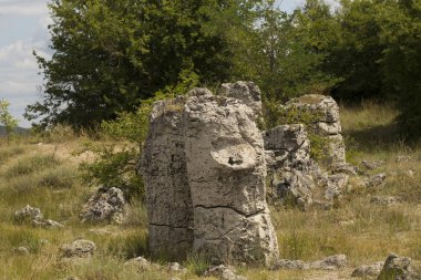 Taş çöl olarak da bilinen, dikilmiş taşlar. Varna eyaletinin ev formları. Bulgaristan 'ın kaya oluşumları. Taş orman.