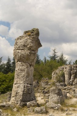 Taş çöl olarak da bilinen, dikilmiş taşlar. Varna eyaletinin ev formları. Bulgaristan 'ın kaya oluşumları. Taş orman.