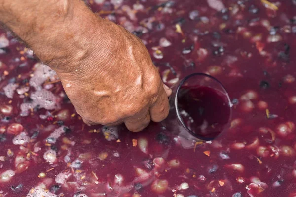 Şarap Üreticisinin Eli Cam Bardakla Üzümden Meyve Suyu Toplamak Zorunda — Stok fotoğraf