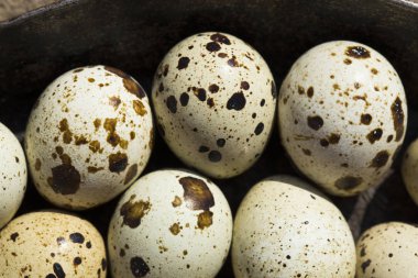 Bıldırcın yumurtası dünyanın birçok yerinde bir incelik olarak kabul edilir.