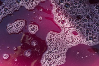 Şarap malzemesi, üzüm suyu - mutlaka, stum, maun. Moldova 'da şarap üretim teknolojisi. Şarap yapma geleneği. Eski üzüm işleme geleneği..