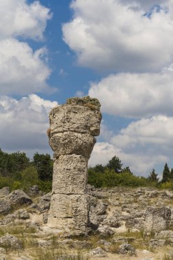 Taş çöl olarak da bilinen, dikilmiş taşlar. Varna eyaletinin ev formları. Bulgaristan 'ın kaya oluşumları. Taş orman.