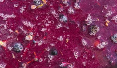 Şarap malzemesi, üzüm suyu - mutlaka, stum, maun. Moldova 'da şarap üretim teknolojisi. Şarap yapma geleneği. Eski üzüm işleme geleneği..