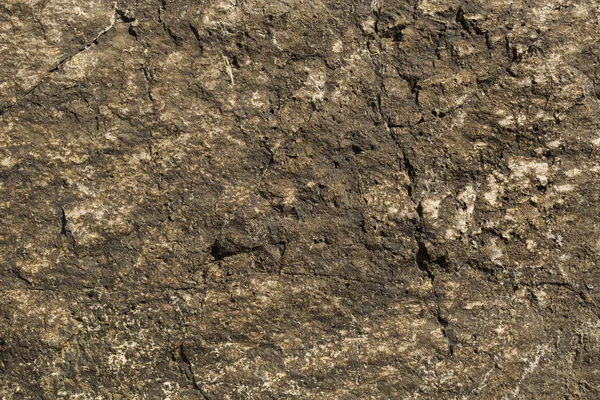 Płyta Rock Kolorowy Kamień Powierzchni Ściana Domu Skały Geologiczne Metamorficzne — Zdjęcie stockowe