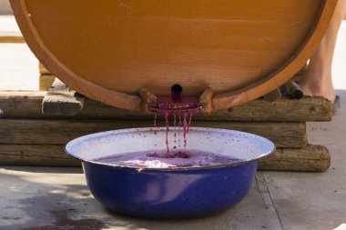 Şarap yapımı. Meyve suyu özel ekipmanlarla birleştirilir. Moldova 'da şarap üretim teknolojisi. Üzüm işlemenin eski halk geleneği. Ekoloji..