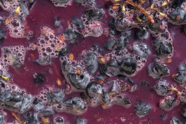 Şarap malzemesi, üzüm suyu - mutlaka, stum, maun. Moldova 'da şarap üretim teknolojisi. Şarap yapma geleneği. Eski üzüm işleme geleneği..