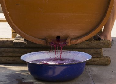 Şarap yapımı. Meyve suyu özel ekipmanlarla birleştirilir. Moldova 'da şarap üretim teknolojisi. Üzüm işlemenin eski halk geleneği. Ekoloji..