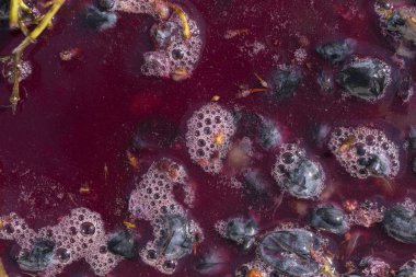 Şarap malzemesi, üzüm suyu - mutlaka, stum, maun. Moldova 'da şarap üretim teknolojisi. Şarap yapma geleneği. Eski üzüm işleme geleneği..