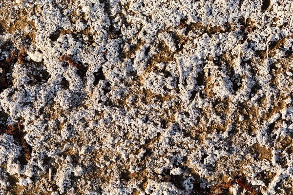 토양에는 소금이 합니다 호수의 텍스처 — 스톡 사진