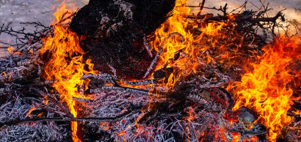 Lángoló Tűz Hatalmas Máglya Farsangi Búcsúztatás Égő Ágai Emberek Nézni — Stock Fotó