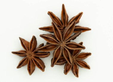 Yıldız anason. Illicium, Schisandraceae familyasından bir bitki cinsidir.. 