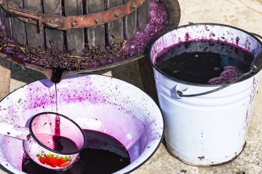  Şarap yapımı. Moldova 'da şarap üretim teknolojisi. Üzüm işlemenin eski halk geleneği. Sıkıştırıcı şarabı bastırmak için kullanılır..