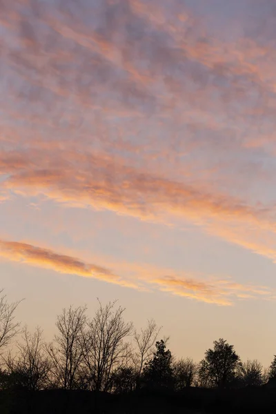 Nubes Púrpuras Magenta Paisaje Nublado Cirrus Cielo Azul Trágico Cielo — Foto de Stock