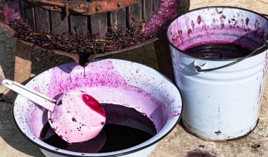  Şarap yapımı. Moldova 'da şarap üretim teknolojisi. Üzüm işlemenin eski halk geleneği. Sıkıştırıcı şarabı bastırmak için kullanılır..