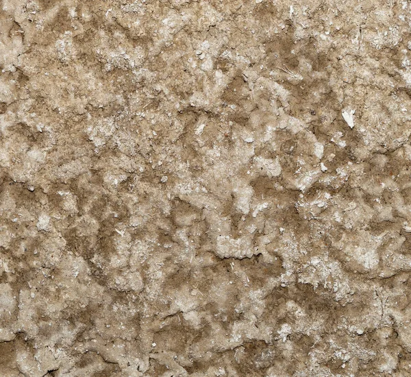 Соль Плоская Почва Богата Солью Текстура Высохшего Озера — стоковое фото