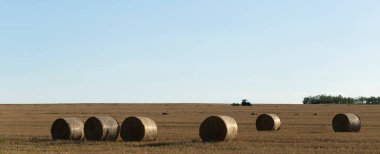 Buğday hasadı. Tarlada saman balyaları.