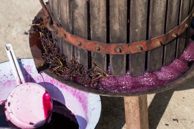 Şarap yapımı. Moldova 'da şarap üretim teknolojisi. Üzüm işlemenin eski halk geleneği. Sıkıştırıcı şarabı bastırmak için kullanılır.. 