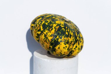 Dekoratif Balkabağı Karışık Tohumlar GON GDO 'suz beyaz arka planda. Cadılar Bayramı.