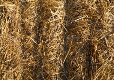 Saman arkaplan dokusunu kapat.