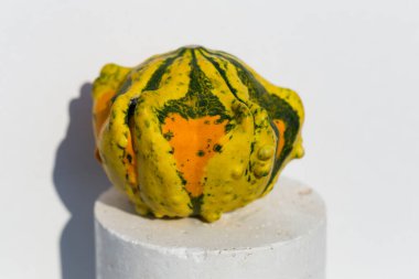 Dekoratif Balkabağı Karışık Tohumlar GON GDO 'suz beyaz arka planda. Cadılar Bayramı.