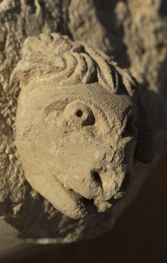 Heykel kireçtaşından yapılmıştır. Kazılar sırasında bulunan bir bulgu. Arılar 'ın başı. Eski bir Yunan binasının dekoratif unsurları. 5. yüzyıl.