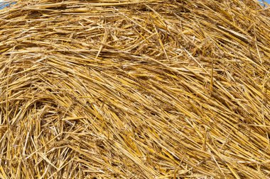 Saman arkaplan dokusunu kapat.