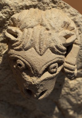 Heykel kireçtaşından yapılmıştır. Arılar 'ın başı. Eski bir Yunan binasının dekoratif unsurları. 5. yüzyıl.