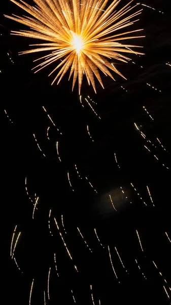 Festive Fireworks Night Sky — Stock Photo, Image