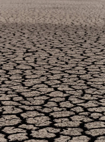 Tierra Agrietó Debido Sequía Escasez Global Agua Planeta Concepto Calentamiento — Foto de Stock