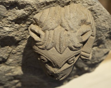 Heykel kireçtaşından yapılmıştır. Arılar 'ın başı. Eski bir Yunan binasının dekoratif unsurları. 5. yüzyıl.