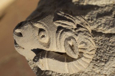 Heykel kireçtaşından yapılmıştır. Kazılar sırasında bulunan bir bulgu. Arılar 'ın başı. Eski bir Yunan binasının dekoratif unsurları. 5. yüzyıl.