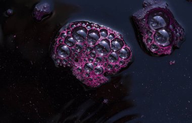 Şarap yapımı. Köpüklü taze üzüm suyu. Akarsu akmalı ve özel bir kapta toplanmalı. Moldova 'da şarap üretim teknolojisi. Üzüm işlemenin eski halk geleneği. Evi hasat et.