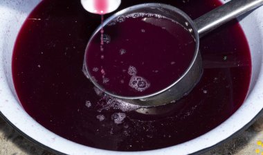 Şarap yapımı. Köpüklü taze üzüm suyu. Akarsu akmalı ve özel bir kapta toplanmalı. Moldova 'da şarap üretim teknolojisi. Üzüm işlemenin eski halk geleneği. Evi hasat et.