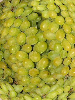 A grape is a fruiting berry of the deciduous woody vines of the botanical genus Vitis. Grapes can be eaten raw or they can be used for making wine, jam, juice, jelly, grape seed extract, raisins, vinegar, and grape seed oil. Grapes are a non-climacte