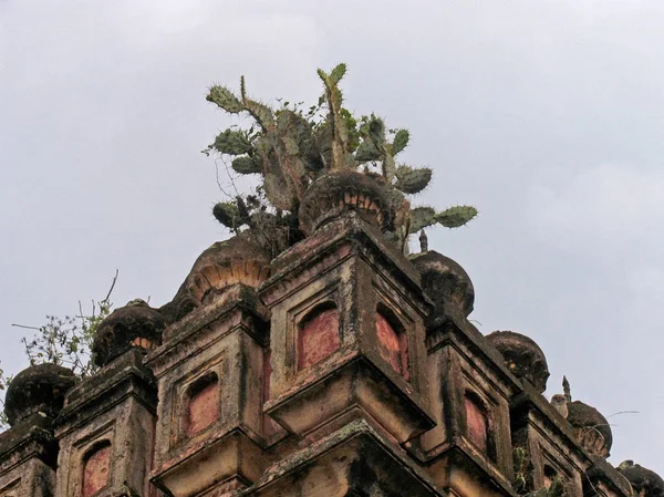 Naturalnym Kaktus Kopuły Świątyni — Zdjęcie stockowe