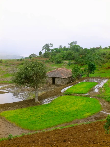 Pequeña Cabaña Tierras Agrícolas Área Rural Cerca Nilkantheshwar Donje Pune —  Fotos de Stock