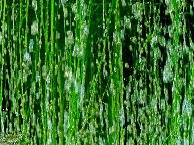 Bir genel gider su deposu, grafik üzerinde asılı moss üzerinde su damlaları