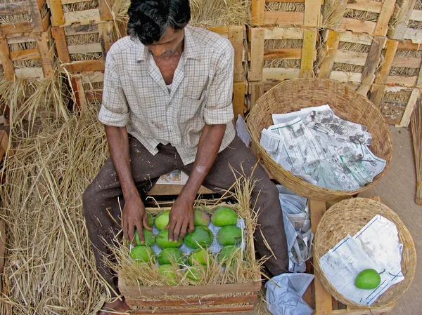 Працівник Упаковки Манго Ратнаґірі Махараштра Індія — стокове фото