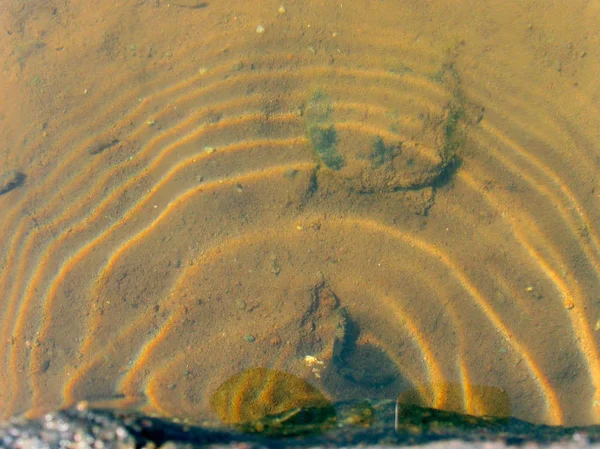 Свет Отражается Поверхности Воды — стоковое фото