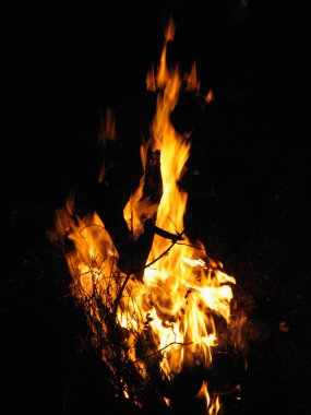 Holi kutlaması, ateş ve renk festivali. Pune Maharashtra, Hindistan